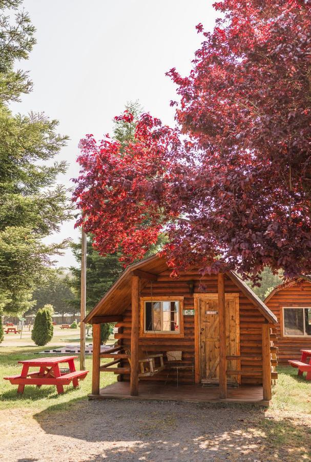 Redwood Coast Cabins And Rv Resort Юрика Экстерьер фото